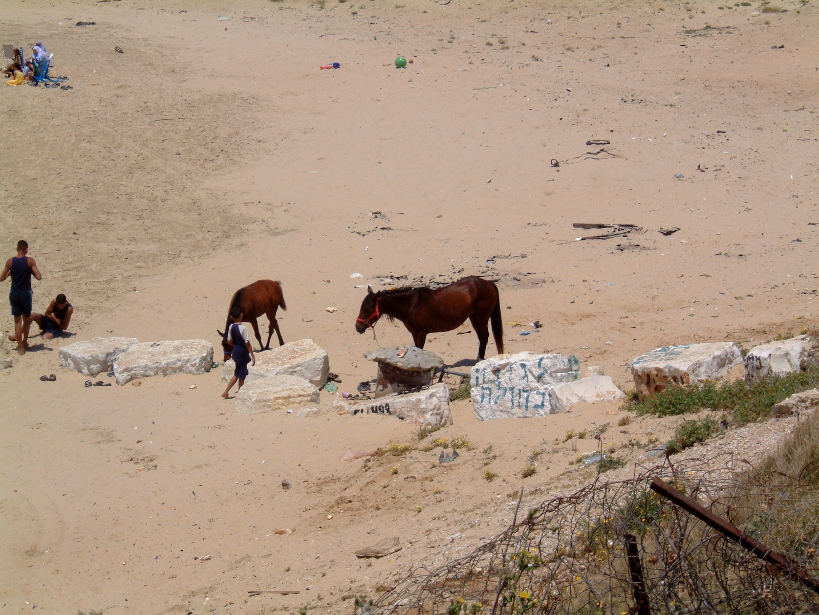 WhatsApp Image 2022-07-26 at 10.19.22 AM.jpeg